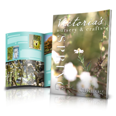 Digital Booklets / Catalogs / Magazines